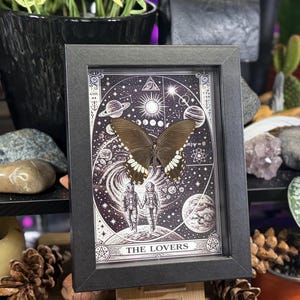 Puede incluir: Una obra de arte enmarcada con una mariposa preservada. La mariposa tiene alas de color marr&oacute;n oscuro con marcas blancas. La obra de arte est&aacute; ambientada en una ilustraci&oacute;n en blanco y negro de planetas, estrellas y figuras, con el texto "THE LOVERS". El marco es negro.
