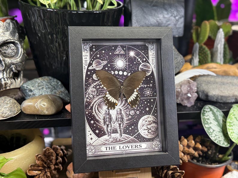 Puede incluir: Una obra de arte enmarcada con una mariposa preservada. La mariposa tiene alas de color marr&oacute;n oscuro con marcas blancas. La obra de arte est&aacute; ambientada en una ilustraci&oacute;n en blanco y negro de planetas, estrellas y figuras, con el texto "THE LOVERS". El marco es negro.