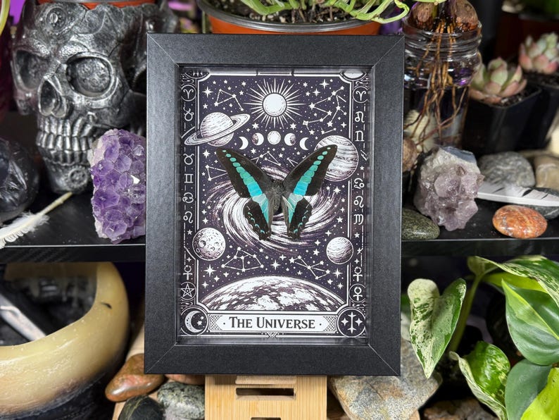 Op de afbeelding: Een ingelijste print met een vlinder met turquoise en zwarte vleugels, tegen een zwart-witte kosmische achtergrond. Het ontwerp bevat hemellichamen, sterrenbeelden en de tekst "The Universe". De lijst is zwart.