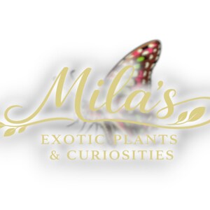 May include: The logo for "Mila's Exotic Plants & Curiosities" displays gold script and a butterfly with red, pink, and green details. The design is set against a soft white background, creating a sophisticated and inviting aesthetic.