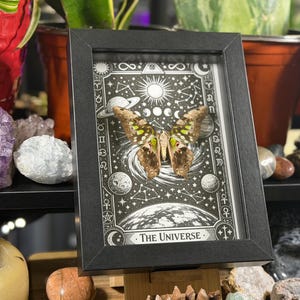 May include: Framed artwork featuring a butterfly with brown and green wings, set against a black and white celestial background. The artwork is framed in a black rectangular frame. The text "The Universe" is at the bottom of the artwork.