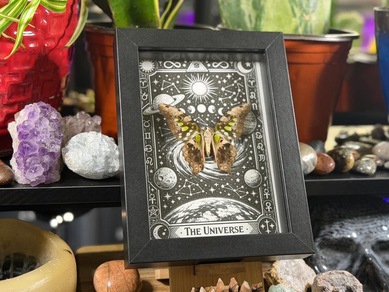 May include: Framed artwork featuring a butterfly with brown and green wings, set against a black and white celestial background. The artwork is framed in a black rectangular frame. The text "The Universe" is at the bottom of the artwork.
