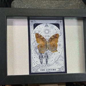 Pode incluir: Uma obra de arte emoldurada com um esp&eacute;cime de borboleta montado sobre uma ilustra&ccedil;&atilde;o de carta de tar&ocirc;. A carta retrata duas figuras de m&atilde;os dadas, com as palavras "THE LOVERS" na parte inferior. A moldura &eacute; cinza escuro e o fundo tem um efeito brilhante.