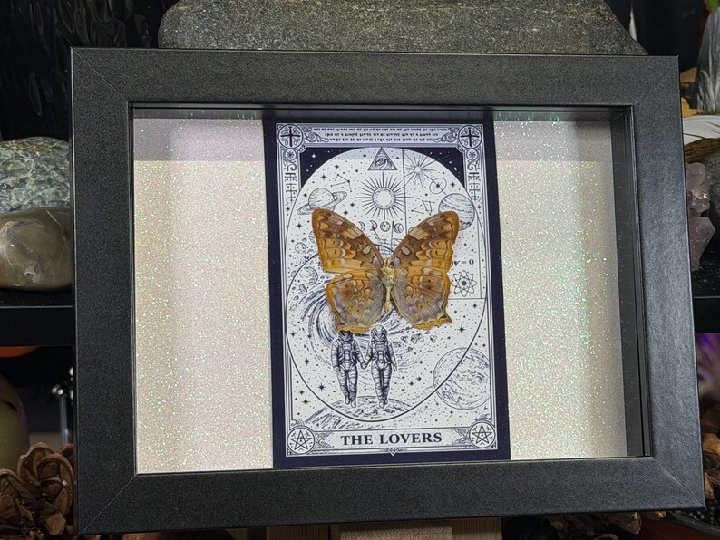Pode incluir: Uma obra de arte emoldurada com um esp&eacute;cime de borboleta montado sobre uma ilustra&ccedil;&atilde;o de carta de tar&ocirc;. A carta retrata duas figuras de m&atilde;os dadas, com as palavras "THE LOVERS" na parte inferior. A moldura &eacute; cinza escuro e o fundo tem um efeito brilhante.