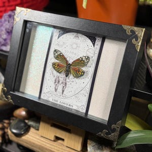 May include: A framed artwork with a butterfly and a tarot card. The black frame has decorative gold corners. The tarot card reads "THE LOVERS" and has a detailed illustration. The butterfly has orange, yellow, and black wings.