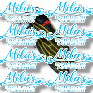 K&ouml;nnte beinhalten: Wiederholendes Muster mit dem Text "Mila's Exotic Plants & Curiosities" in Hellblau, mit einer Zikade in der Mitte. Die Zikade hat schwarze, gelbe und rote Markierungen.