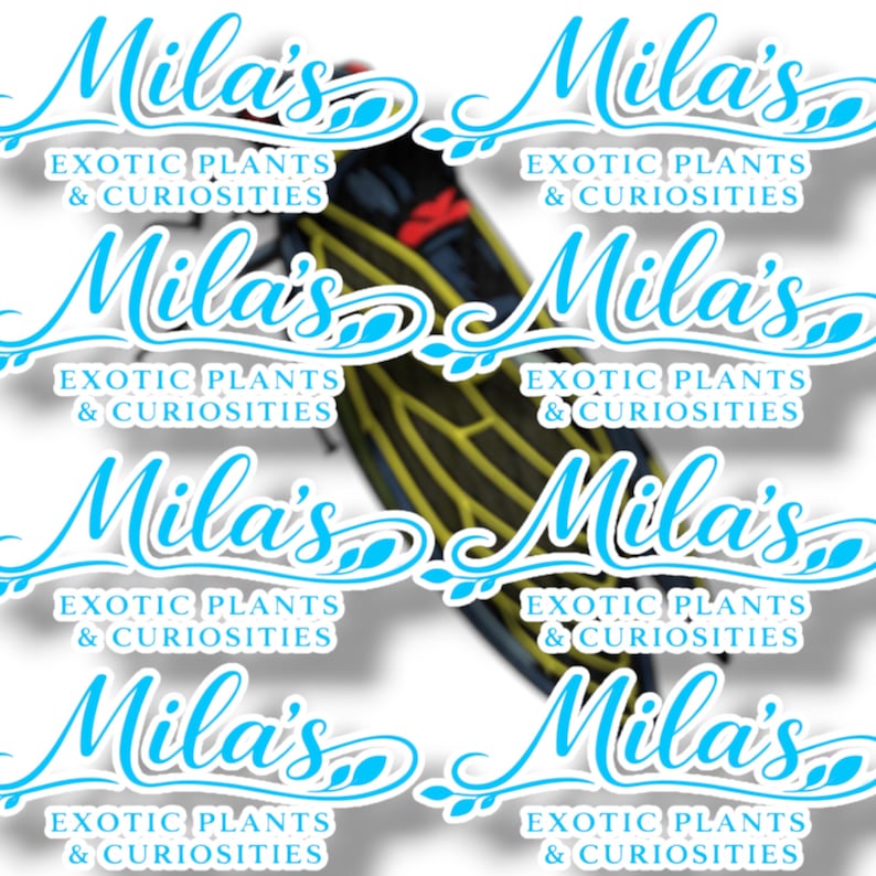 K&ouml;nnte beinhalten: Wiederholendes Muster mit dem Text "Mila's Exotic Plants & Curiosities" in Hellblau, mit einer Zikade in der Mitte. Die Zikade hat schwarze, gelbe und rote Markierungen.