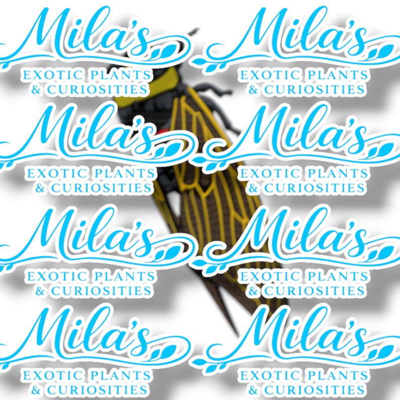 K&ouml;nnte beinhalten: Ein sich wiederholendes Muster aus Aufklebern mit dem Text "Mila's Exotic Plants & Curiosities" in hellblauer Schrift. Im Hintergrund ist ein gelb-schwarzes Insekt zu sehen.