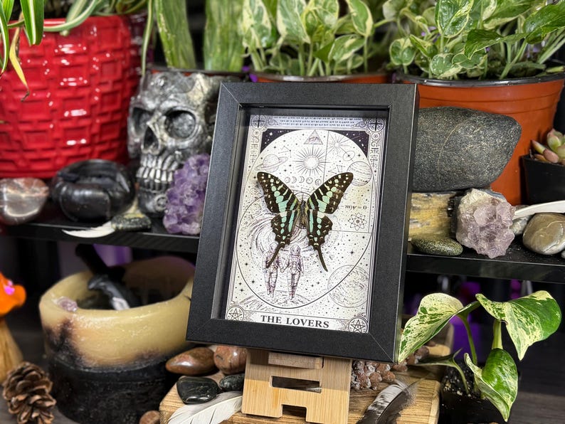 Puede incluir: Una obra de arte enmarcada con una mariposa con marcas negras y verde azulado, sobre una ilustraci&oacute;n detallada en blanco y negro. La obra est&aacute; etiquetada como "THE LOVERS" y se exhibe en un caballete de madera. El fondo incluye plantas, cristales y objetos decorativos.