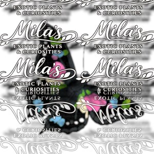 Puede incluir: Un dise&ntilde;o decorativo de mariposa con acentos negros, rosas, azules y amarillos. La imagen incluye el texto "Mila's Exotic Plants & Curiosities" en una fuente estilizada, repetido varias veces.