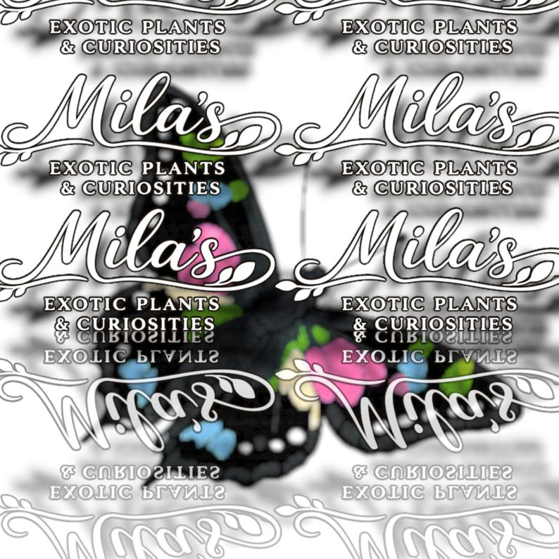 Puede incluir: Un dise&ntilde;o decorativo de mariposa con acentos negros, rosas, azules y amarillos. La imagen incluye el texto "Mila's Exotic Plants & Curiosities" en una fuente estilizada, repetido varias veces.