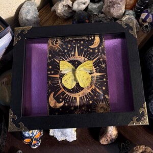 May include: A framed display featuring a yellow butterfly set against a celestial background with moons, stars, and sunbursts. The black frame has ornate corner details and a purple backing, creating a striking contrast.