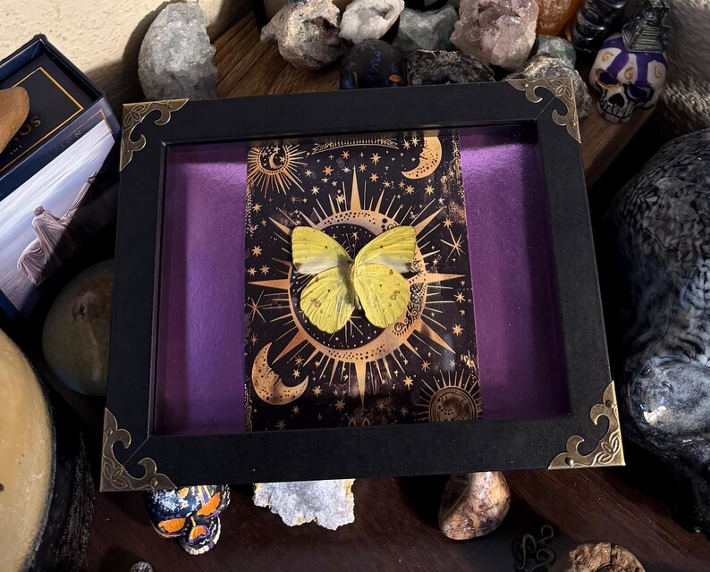 May include: A framed display featuring a yellow butterfly set against a celestial background with moons, stars, and sunbursts. The black frame has ornate corner details and a purple backing, creating a striking contrast.