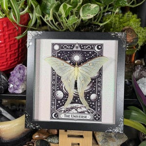 Puede incluir: Una obra de arte enmarcada con una polilla verde p&aacute;lido de alas delicadas, sobre un dise&ntilde;o de carta de tarot en blanco y negro. La carta dice "El Universo" e incluye s&iacute;mbolos celestiales. El marco es negro con esquinas plateadas decorativas.