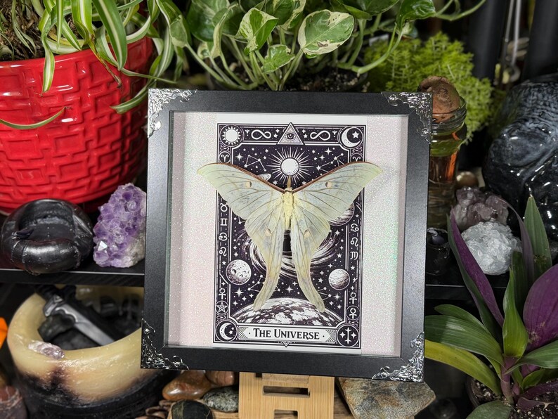 Puede incluir: Una obra de arte enmarcada con una polilla verde p&aacute;lido de alas delicadas, sobre un dise&ntilde;o de carta de tarot en blanco y negro. La carta dice "El Universo" e incluye s&iacute;mbolos celestiales. El marco es negro con esquinas plateadas decorativas.