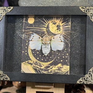 May include: Framed artwork depicting a cicada with white and light blue wings against a celestial backdrop of a moon and stars. The black frame has decorative gold corner accents. The artwork is displayed on a wooden stand.