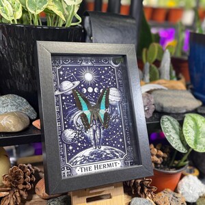 Blue Bottleneck “The Hermit Celestial Wanderer” Framed Specimen Art | Graphium sarpedon Tarot Decor bild 8