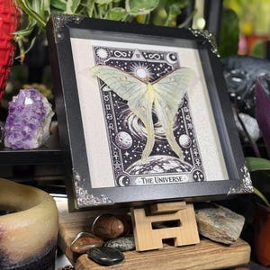 Puede incluir: Una obra de arte enmarcada con una polilla verde p&aacute;lido sobre una ilustraci&oacute;n en blanco y negro del universo. El marco es negro con detalles decorativos plateados en las esquinas. La obra se exhibe sobre un soporte de madera.