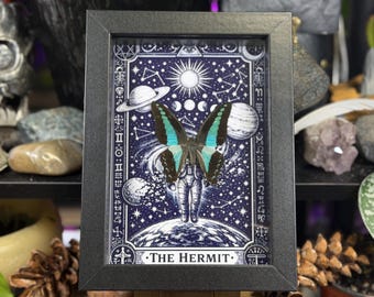 Framed Butterfly Blue Bottleneck ‘The Hermit’ Custom Tarot Gothic Wall Art - Graphium Sarpedon