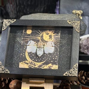 May include: A framed artwork with a moth illustration and celestial theme. The black frame has gold corner accents. The artwork shows a moth with a moon and sun design, set against a starry background. The artwork is displayed on a wooden stand.