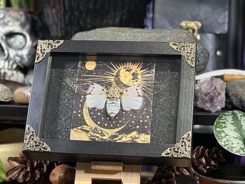 May include: A framed artwork with a moth illustration and celestial theme. The black frame has gold corner accents. The artwork shows a moth with a moon and sun design, set against a starry background. The artwork is displayed on a wooden stand.