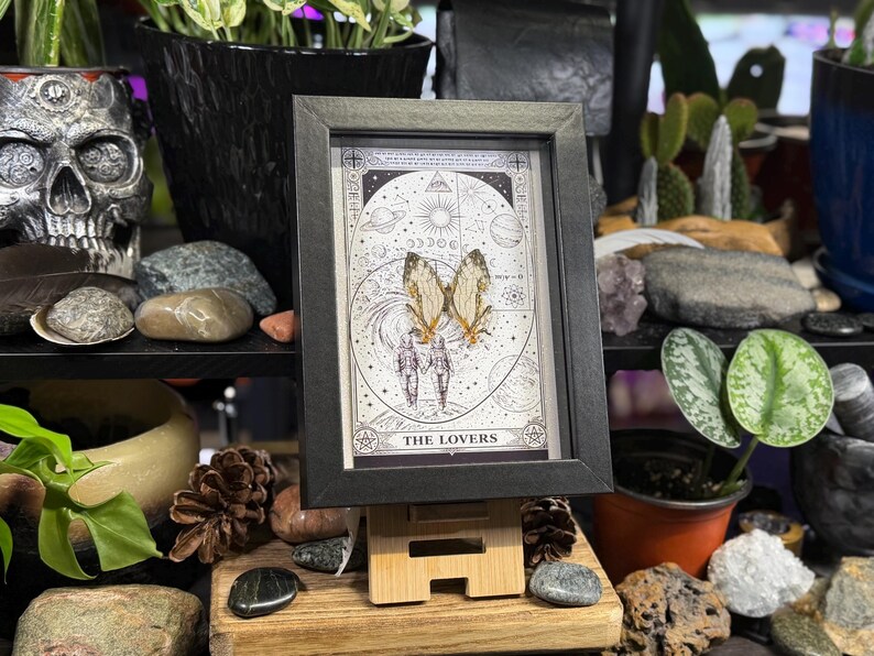 May include: A framed print of "The Lovers" tarot card, featuring a celestial design with butterflies and figures. The black frame sits on a small wooden easel, surrounded by plants, rocks, and decorative items. The overall aesthetic is mystical and bohemian.