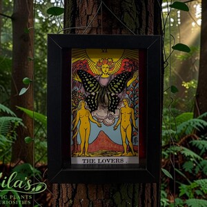 May include: A framed tarot card titled The Lovers featuring a central winged figure with a large black and yellow butterfly mounted over the chest area, positioned above two standing figures in a landscape with a sun and clouds in the background.