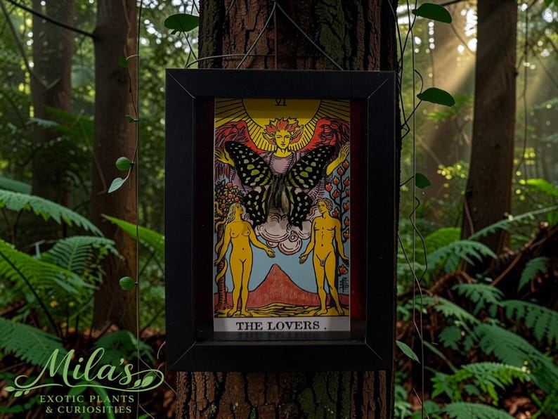May include: A framed tarot card titled The Lovers featuring a central winged figure with a large black and yellow butterfly mounted over the chest area, positioned above two standing figures in a landscape with a sun and clouds in the background.