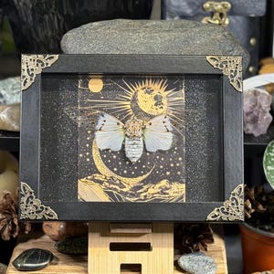 May include: A framed artwork featuring a moth with white wings and a detailed body, set against a celestial background of a moon, stars, and sun. The black frame has decorative gold corner accents.