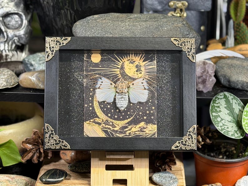 May include: A framed artwork featuring a moth with white wings and a detailed body, set against a celestial background of a moon, stars, and sun. The black frame has decorative gold corner accents.