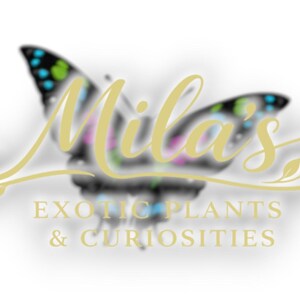 Puede incluir: Logotipo de "Mila's Exotic Plants & Curiosities" con una mariposa con acentos coloridos. El nombre de la empresa est&aacute; en una escritura fluida encima de la descripci&oacute;n del negocio. El logotipo es en tonos de amarillo, negro y blanco.