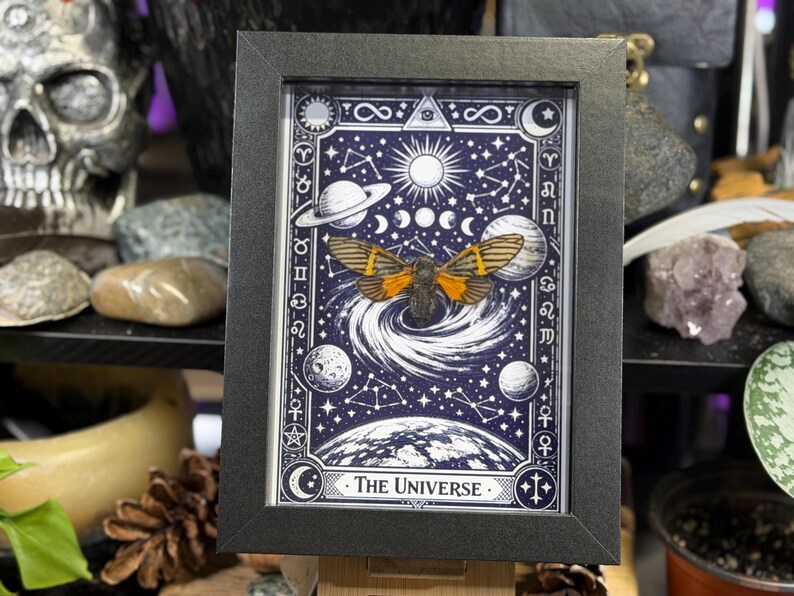 K&ouml;nnte beinhalten: Gerahmter Kunstdruck mit einem Himmelsmotiv und einer Illustration einer Motte. Das Kunstwerk zeigt einen dunkelblauen Hintergrund mit wei&szlig;en Sternen, Planeten und dem Text "The Universe". Der Rahmen ist schwarz.