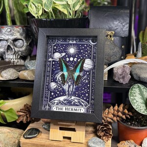 Blue Bottleneck “The Hermit Celestial Wanderer” Framed Specimen Art | Graphium sarpedon Tarot Decor bild 9