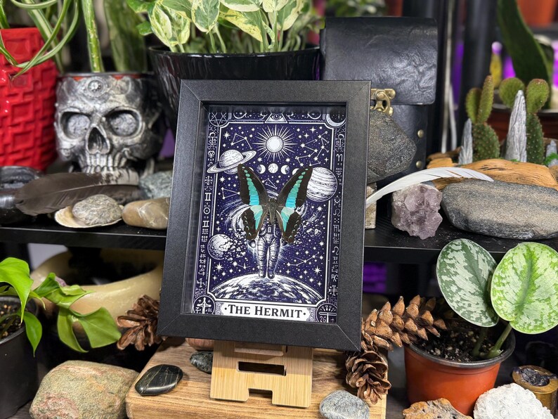 Blue Bottleneck “The Hermit Celestial Wanderer” Framed Specimen Art | Graphium sarpedon Tarot Decor bild 9