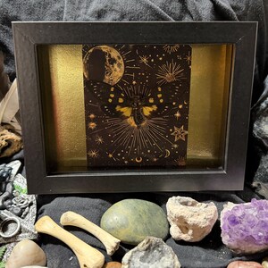 May include: A framed artwork featuring a celestial moth design with a moon and stars in gold on a dark background. The artwork is set against a gold backdrop within a black frame. The image is surrounded by feathers, bones, and crystals.