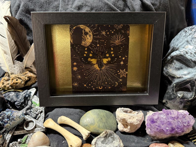 May include: A framed artwork featuring a celestial moth design with a moon and stars in gold on a dark background. The artwork is set against a gold backdrop within a black frame. The image is surrounded by feathers, bones, and crystals.