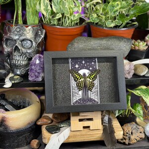 May include: A framed picture of a butterfly with yellow and black wings, set against a starry night sky and a full moon. The artwork is displayed on a wooden easel, surrounded by plants and decorative items.
