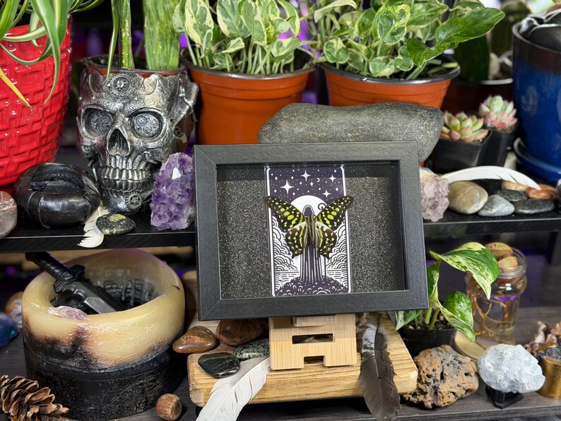 May include: A framed picture of a butterfly with yellow and black wings, set against a starry night sky and a full moon. The artwork is displayed on a wooden easel, surrounded by plants and decorative items.