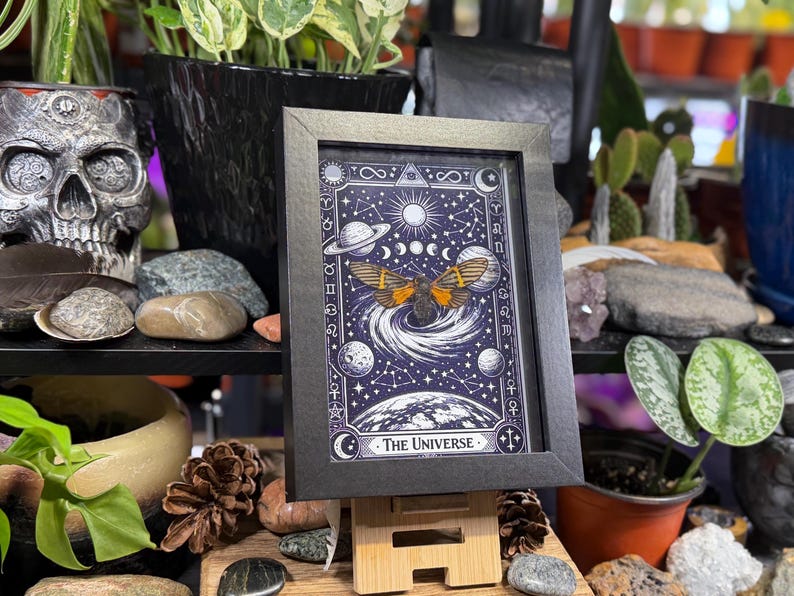 K&ouml;nnte beinhalten: Ein gerahmter Druck mit einem Himmelsmotiv, der einen Schmetterling, Planeten und den Text "The Universe" zeigt. Das Kunstwerk hat einen dunkelblauen Hintergrund mit wei&szlig;en Sternen und einem Halbmond. Der Rahmen ist schwarz.