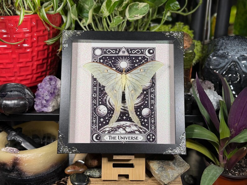 Puede incluir: Una obra de arte enmarcada con un esp&eacute;cimen de polilla verde p&aacute;lido sobre un dise&ntilde;o de carta de tarot en blanco y negro. La carta dice "El Universo" y representa elementos celestiales. El marco es negro con detalles decorativos plateados en las esquinas.
