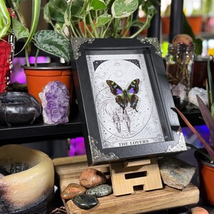 K&ouml;nnte beinhalten: Ein gerahmtes Kunstwerk mit einem Schmetterling mit blauen, gr&uuml;nen und violetten Fl&uuml;geln vor einem himmlischen Hintergrund. Der schwarze Rahmen hat silberne Ecken. Der Text "THE LOVERS" ist unten sichtbar. Das Bild steht auf einem Holzst&auml;nder.