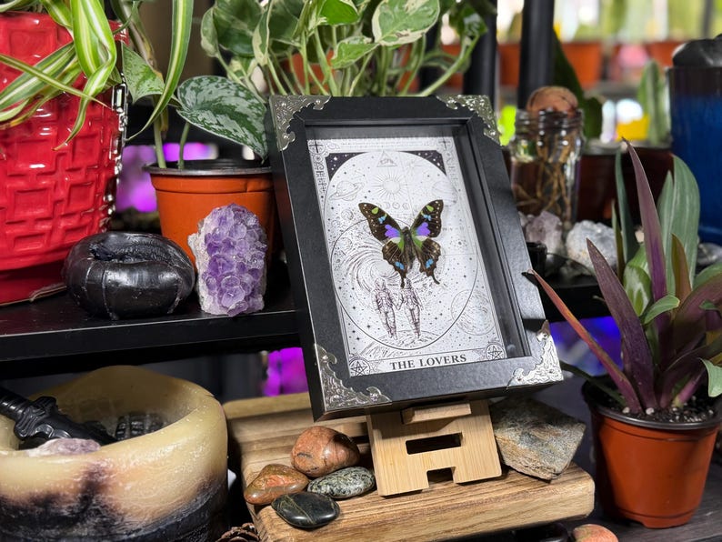 K&ouml;nnte beinhalten: Ein gerahmtes Kunstwerk mit einem Schmetterling mit blauen, gr&uuml;nen und violetten Fl&uuml;geln vor einem himmlischen Hintergrund. Der schwarze Rahmen hat silberne Ecken. Der Text "THE LOVERS" ist unten sichtbar. Das Bild steht auf einem Holzst&auml;nder.