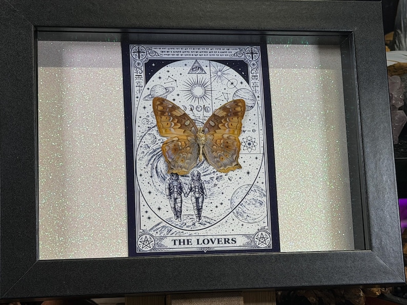 Pode incluir: Obra de arte emoldurada com uma borboleta com asas marrons e bege, montada sobre uma ilustra&ccedil;&atilde;o de carta de tar&ocirc;. A carta retrata duas figuras em trajes espaciais de m&atilde;os dadas, com as palavras "THE LOVERS" na parte inferior. A moldura &eacute; preta.