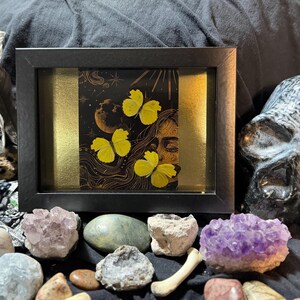 Op de afbeelding: Een ingelijst kunstwerk met een zwarte achtergrond en een gouden streep. De afbeelding toont een vrouwengezicht, een maan, sterren en gele vlinders. Het zwarte frame is omgeven door kristallen en een schedel. Een uniek decoratief stuk.