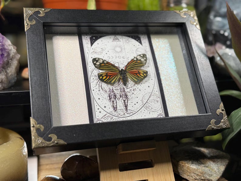 May include: A framed butterfly display with a black frame and gold corner accents. The butterfly has orange, yellow, and black wings. The background features a black and white illustration of two figures and celestial elements.