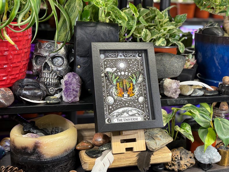 May include: A framed black and white print of "The Universe" tarot card, featuring a butterfly with orange and green wings, set against a celestial background. The print is displayed on a wooden easel, surrounded by plants, crystals, and decorative items.