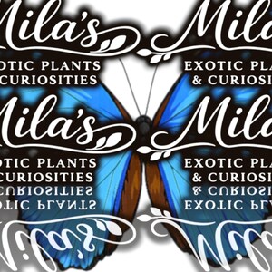 May include: A logo featuring the name "Mila's" in elegant script, with the text "EXOTIC PLANTS & CURIOSITIES" below. The design is set against a butterfly wing backdrop in shades of blue and brown.
