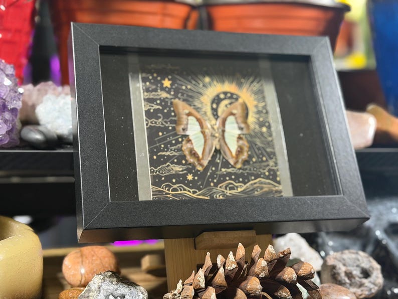 May include: A framed artwork featuring a butterfly with intricate wing patterns, set against a dark background with celestial elements. The black frame complements the artwork, creating a striking display. The artwork is displayed on a wooden stand.