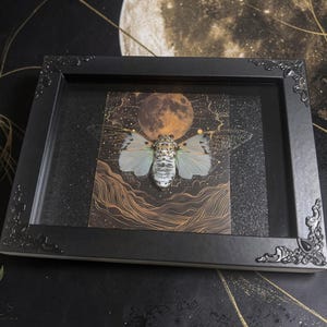 White Ghost Cicada Framed Art, Full Moon Shadow Box, Ornate Gothic Decor, 5x7 image 7