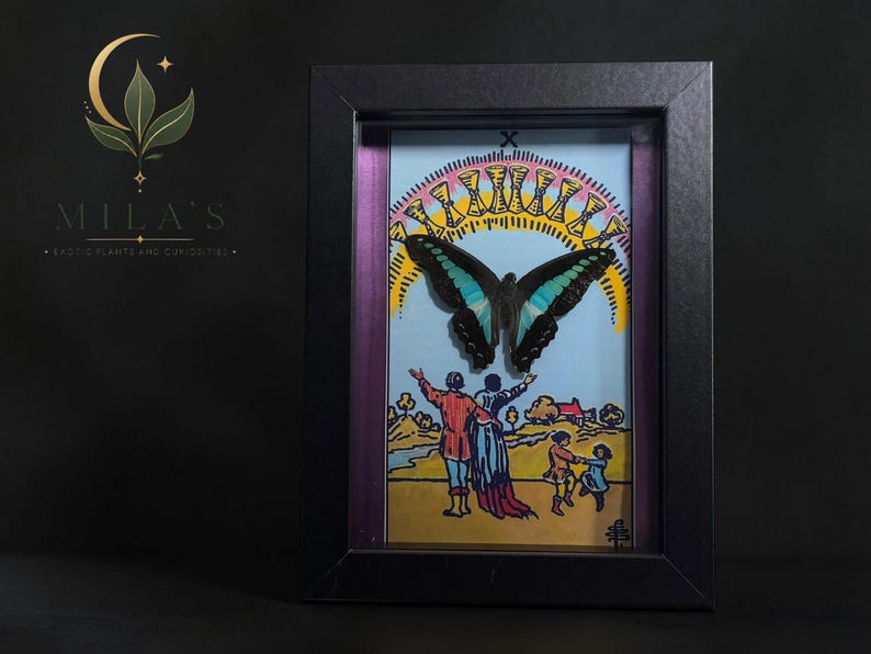 Puede incluir: Un marco rectangular negro tipo caja de sombra que contiene una ilustraci&oacute;n de carta del tarot del Diez de Copas, con una mariposa azul y negra montada sobre la imagen de una familia bajo un arco&iacute;ris de diez copas doradas, con borde morado.
